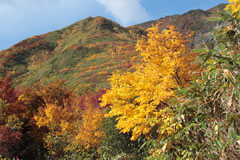 越後駒ケ岳