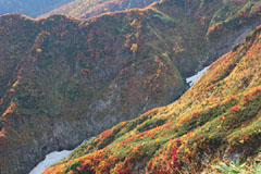 越後駒ケ岳