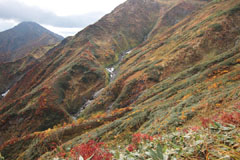越後駒ケ岳