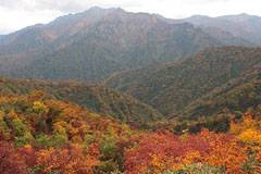 越後駒ケ岳