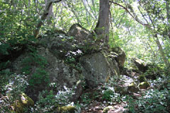 御前ヶ岳