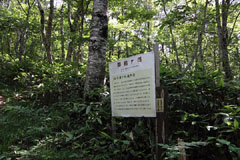 御前ヶ岳