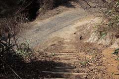 加波山