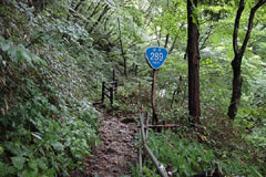 甲子山