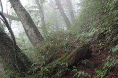 甲子山