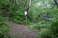 甲子山