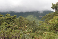 甲子山