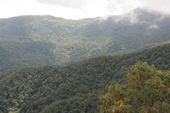 甲子山