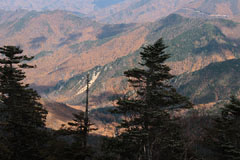 金峰山