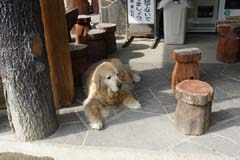 鬼怒沼山