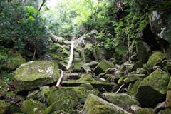鬼怒沼山