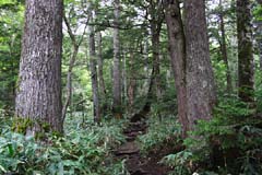 鬼怒沼山