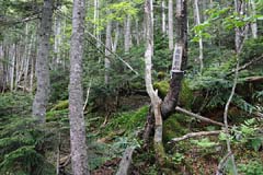 鬼怒沼山