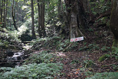 大嵐山