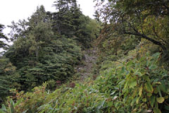 大嵐山