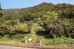 守門岳