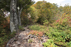 守門岳