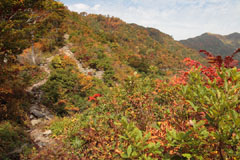 守門岳