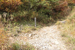 守門岳