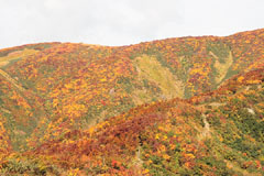 守門岳