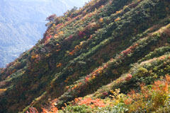 守門岳