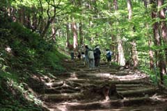 弥彦山