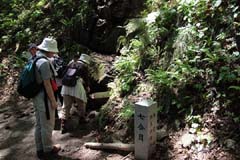 弥彦山