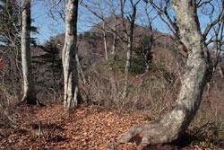 大博多山
