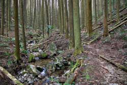 二股山