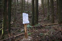 二股山