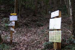 二股山