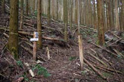 二股山