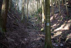 二股山