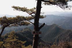 二股山