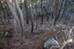二股山