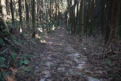 二股山