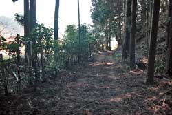 二股山