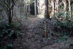二股山