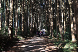 羽黒山