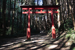 羽黒山