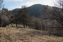 半月山