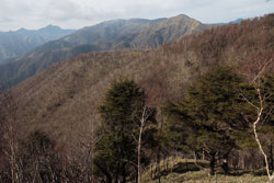 半月山