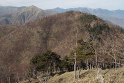半月山