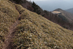 半月山