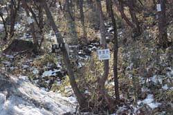 地蔵岳