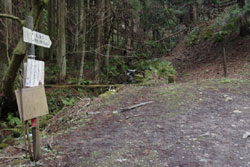 角田山