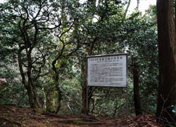 角田山
