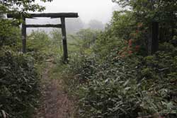 鶏頂山