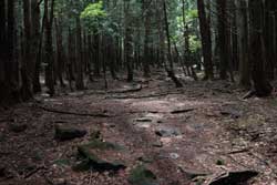 鶏頂山