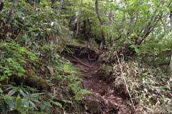 鶏頂山